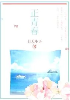 正青春 封面
