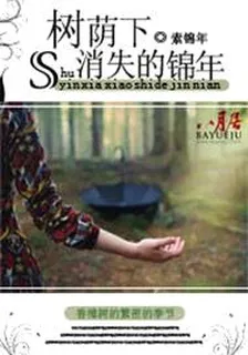 樹蔭下消失的錦年 封面