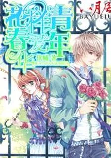 花样青春爱年华 封面