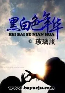 黑白色年華 封面