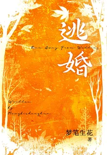 逃婚 封面