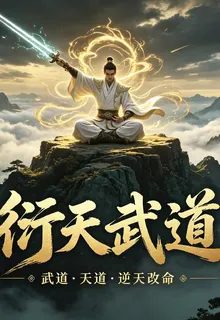衍天武道 封面