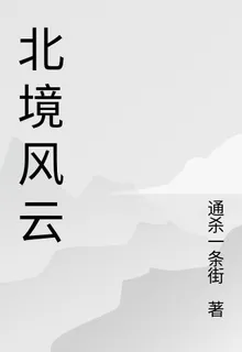 邊陲北境風雲 封面