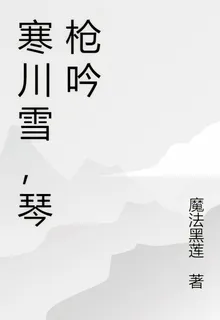 寒川雪，琴槍吟 封面