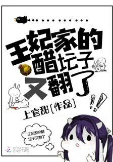 王妃家的醋罈子又翻了 封面