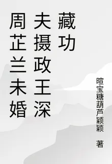 周芷蘭未婚夫攝政王深藏功 封面