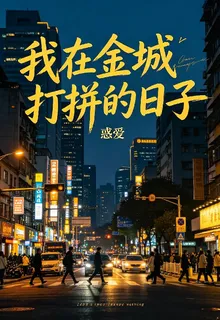 我在金城打拼的日子 封面