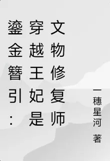 鎏金簪引：穿越王妃是文物修復師 封面