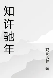 知許馳年 封面