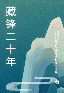 藏鋒二十年 封面