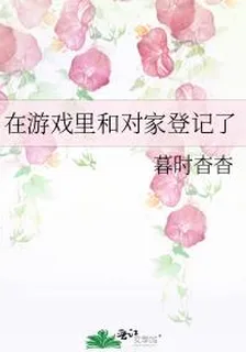 在遊戲裏和對家登記了 封面