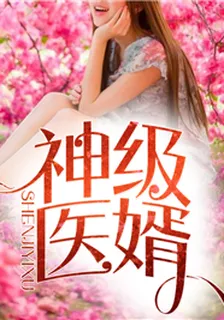 林炎柳幕晴小說 封面