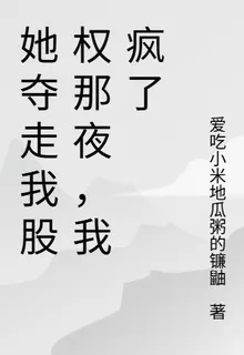 她奪走我股權那夜，我瘋了 封面