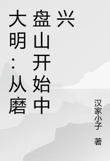 大明：從磨盤山開始中興 封面