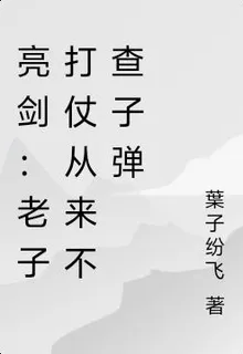 亮劍：老子打仗從來不查子彈 封面