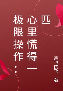 極限操作：心裏慌得一匹 封面