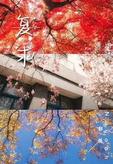 復求 封面