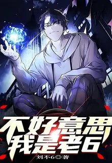 不好意思，我是老6 封面