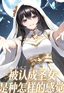 被認成聖女是種怎樣的感覺 封面