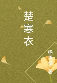 楚寒衣 封面