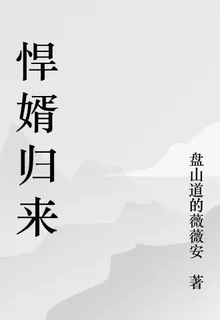 悍婿歸來 封面