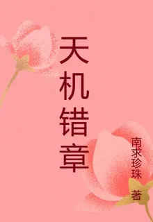 天機錯章 封面