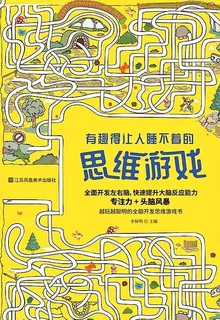 有趣得讓人睡不着的思維遊戲 封面