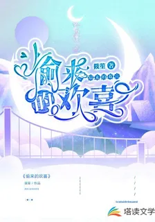 偷來的歡喜 封面