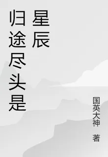 歸途盡頭是星辰 封面