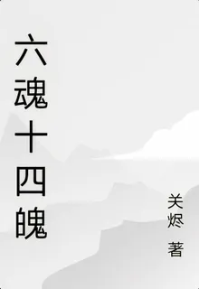 六魂十四魄 封面