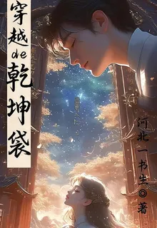 穿越的乾坤袋 封面