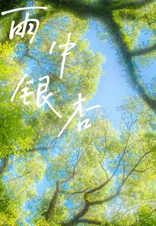 雨中銀杏 封面