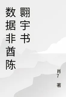 數據非酋陳翾宇書 封面