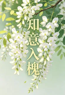 知意入槐 封面
