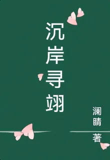 沉岸尋翊 封面