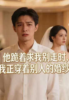 他跪着求我別走時，我正穿着別人的婚紗 封面