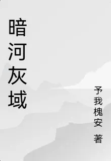 暗河灰域 封面