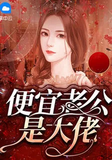便宜老公是大佬 封面