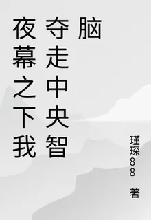 夜幕之下我奪走中央智腦 封面