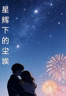 星輝下的塵埃 封面