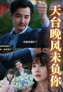 天台晚風未負你 封面