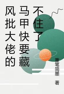 風批大佬的馬甲快要藏不住了 封面