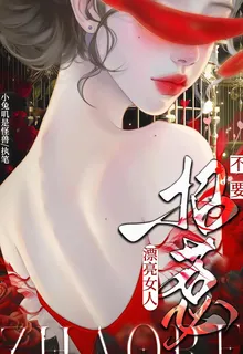 不要招惹漂亮女人 封面