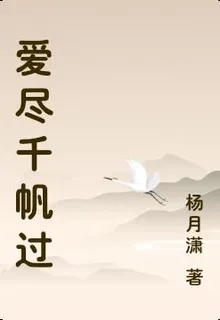 愛盡千帆過 封面