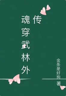 魂穿武林外傳 封面