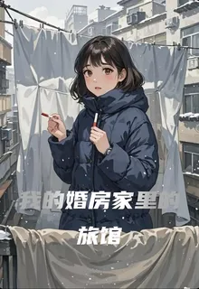 我的婚房家裏的旅館 封面