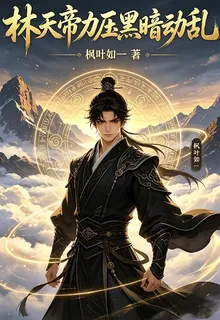 我爲林天帝力壓力黑暗動亂 封面