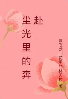 塵光裏的奔赴 封面