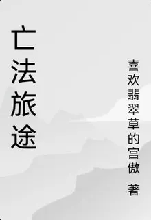 亡法旅途 封面