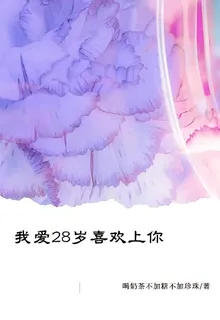 我愛28歲喜歡上你 封面
